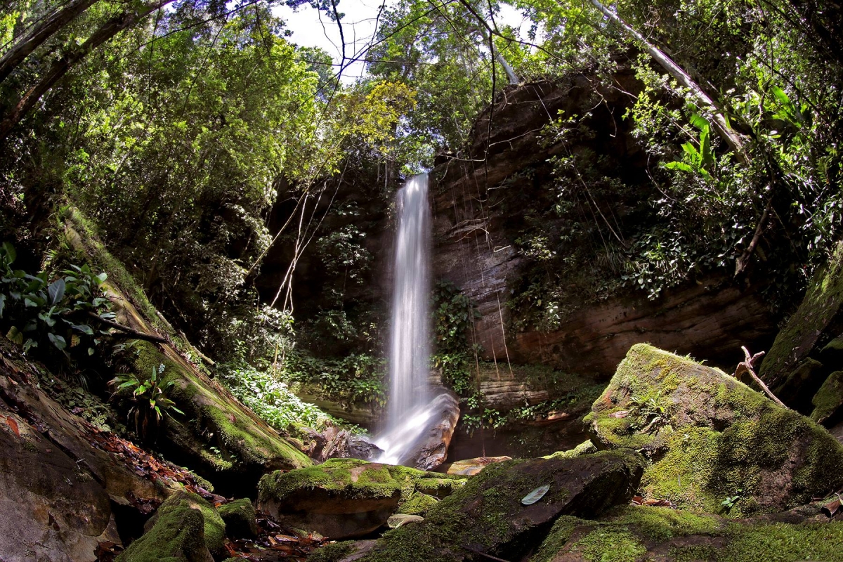 Uma Aventura de Rapel na Cachoeira de Presidente Figueiredo