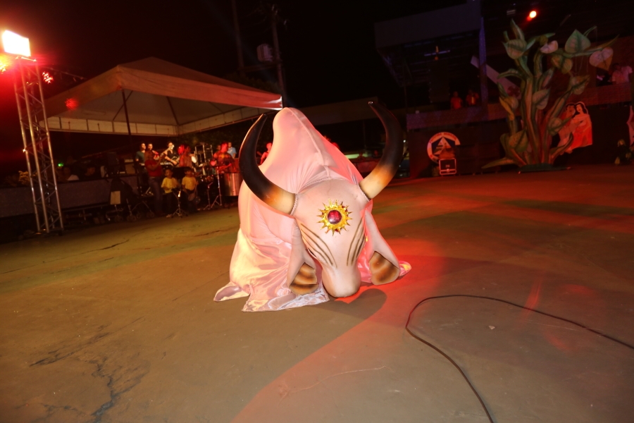 DPP_0856.JPG