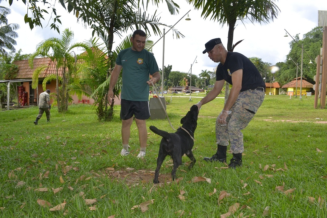 Grupamento do canil da Guarda Municipal participa de treinamento com os cães