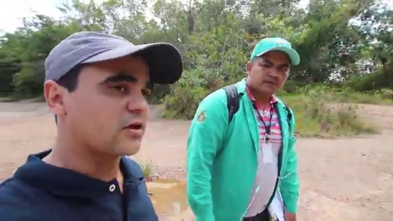 VLOG FIGUEIREDO CONTRA DENGUE